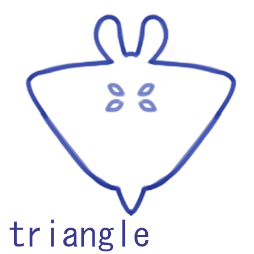 Triangle Fin